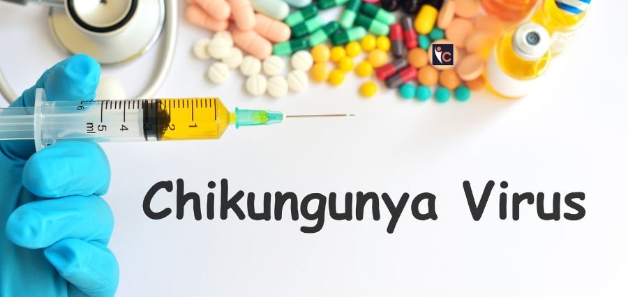 Chikungunya Outbreak in China Sparks UAE Travel Alert for Asia-bound Flyers